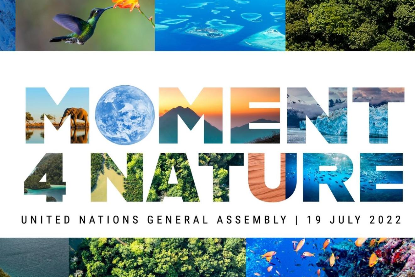 Finding Stillness Amid the Urgency: Reflections from “A Sacred Awakening” at UNGA 80 and Climate Week NYC