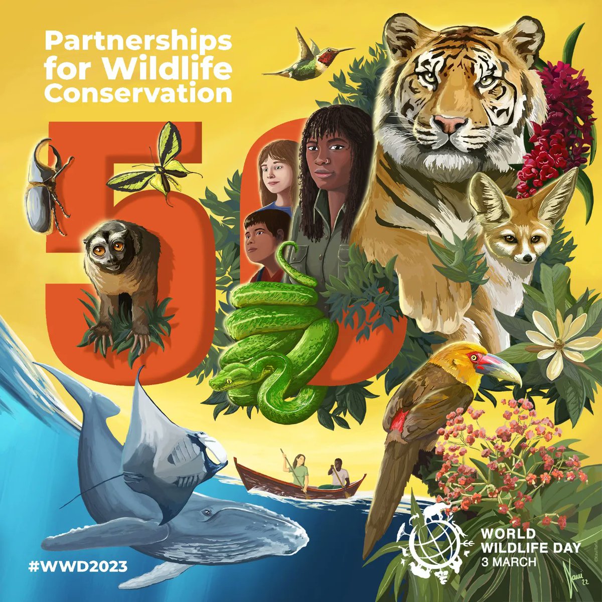 Tiger conservation success in 2023